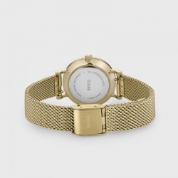 Montre Boho Chic Petite Mesh, couleur or, cadran rond blanc